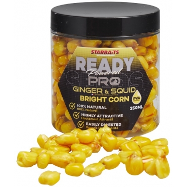 Starbaits Ready Seeds Bright Corn Ginger & Squid 250ml