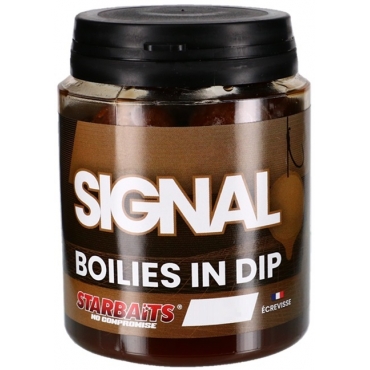 Starbaits Boilies in Dip Signal 150g 24mm